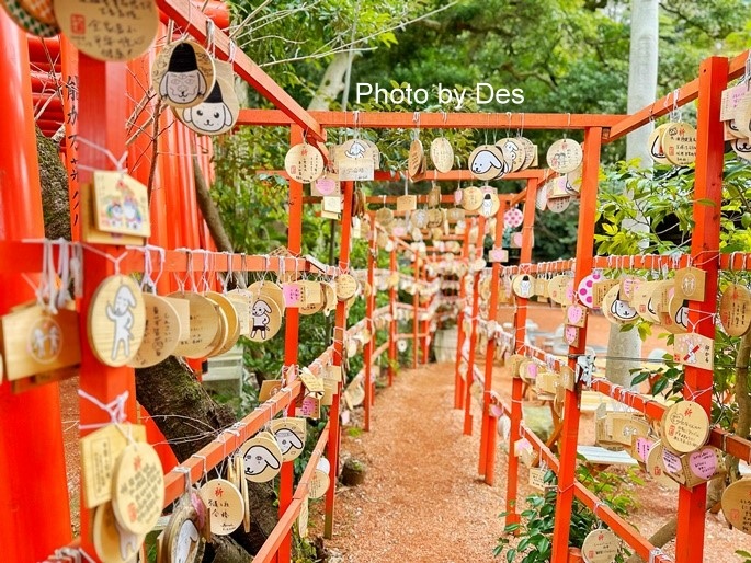 【遊記】日本．金澤．石浦神社(人氣神社充滿色彩繽紛超可愛水玉