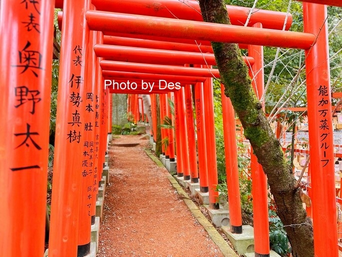 【遊記】日本．金澤．石浦神社(人氣神社充滿色彩繽紛超可愛水玉