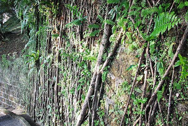 DSC_0680 DSC_0680