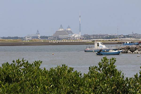 _MG_0208 _MG_0208