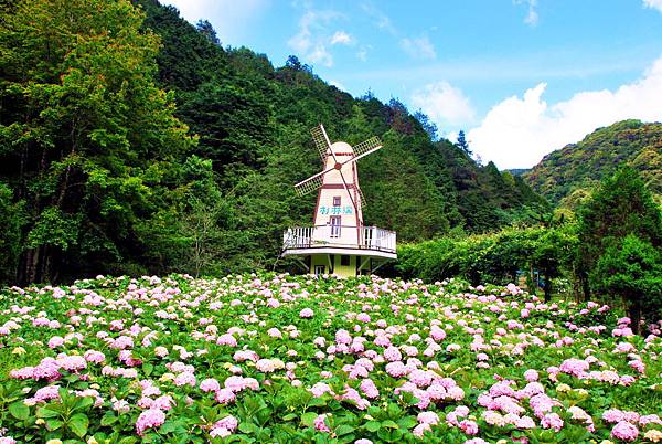 DSC_8908.jpg DSC_8908.jpg