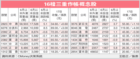 16檔三重作帳股概念股(法人作帳股--100.06.19).gif