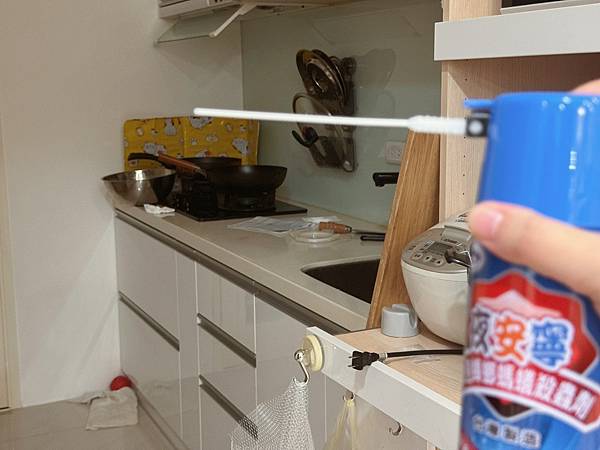 【家有寶寶必備】無臭無煙居家驅蟲<夜安寧系列開箱評價>，中西