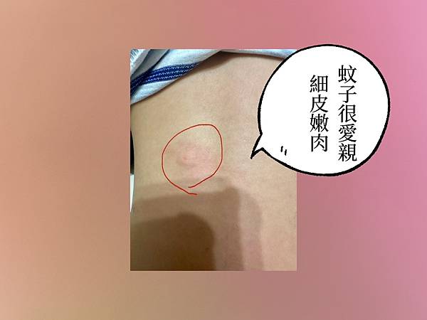 【家有寶寶必備】無臭無煙居家驅蟲<夜安寧系列開箱評價>，中西