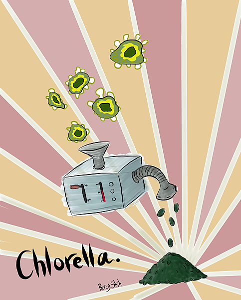 chlorella.png