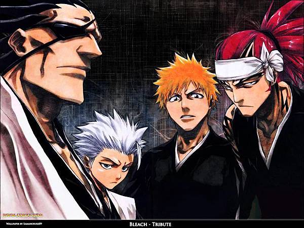 死神.Bleach-黑崎一護+阿散井+更木劍八+冬獅郎 3.jpg