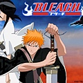 死神 Bleach 一護&露琪亞 1.jpg