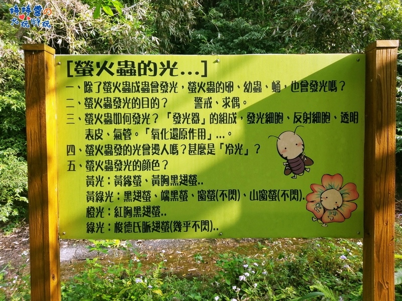 苗栗岩川森林民宿莊園餐廳看板螢火蟲的光介紹