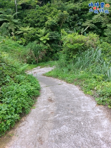 苗栗岩川森林民宿莊園餐廳後方山路好抖