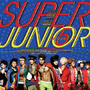 슈퍼주니어 (Super Junior) - 5집 - Mr. Simple - 13 - 태완미 (太完美 Perfection) (Bonus Track)