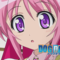 DOGDAYS-06.png