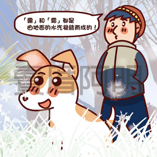 霜降-1.jpg 霜降-1.jpg