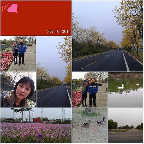 11066612_779650615460617_9082237636939034490_n