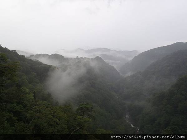 九重夢大橋