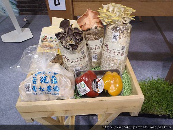 菇類 菇類