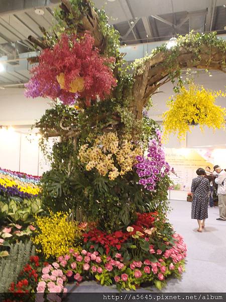 花 花