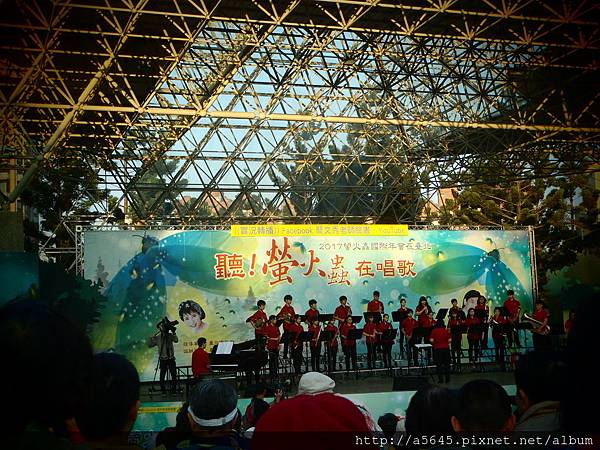 樂器演奏 樂器演奏