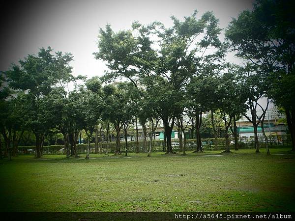 大安森林公園 大安森林公園
