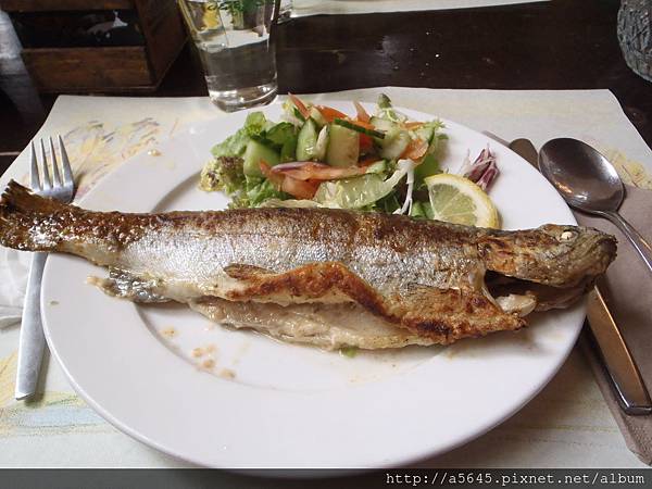 魚 魚