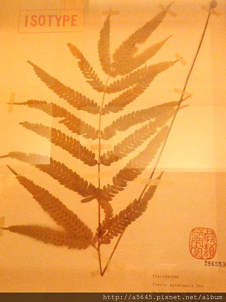 臺大農學實驗室 臺大農學實驗室