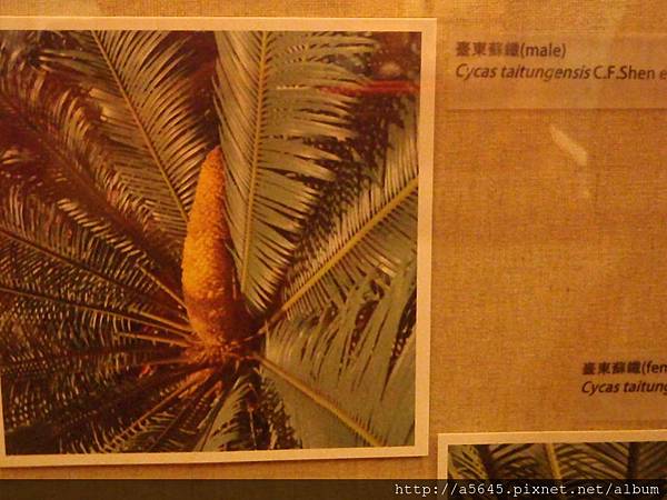 臺大農學實驗室 臺大農學實驗室