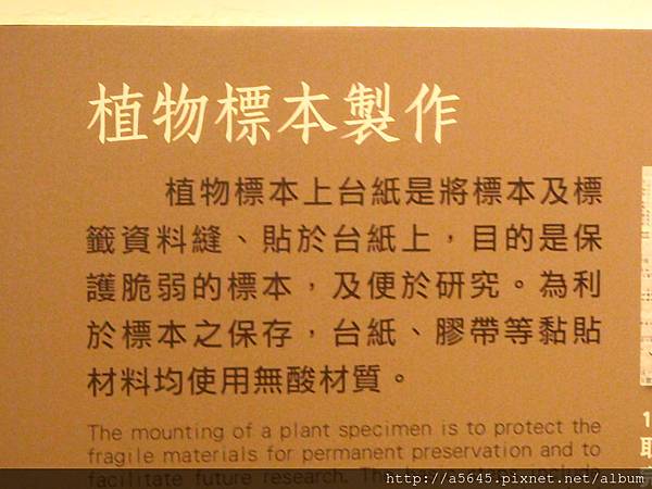 台大 台大