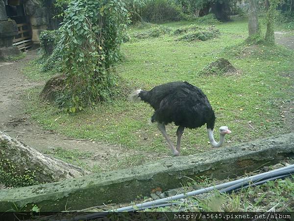 臺北市立木柵動物園