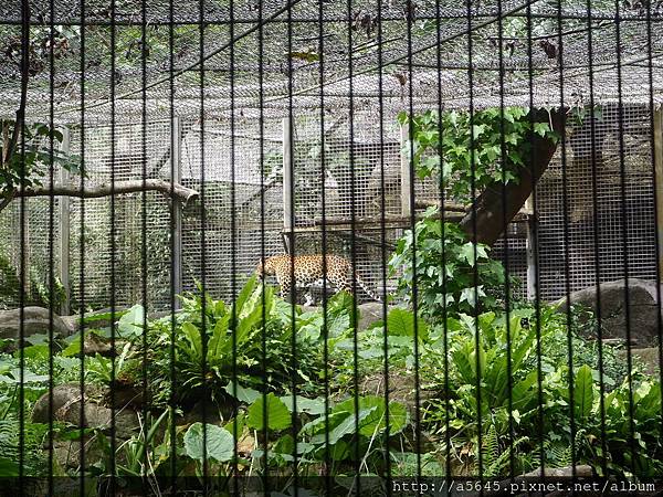 臺北市立木柵動物園