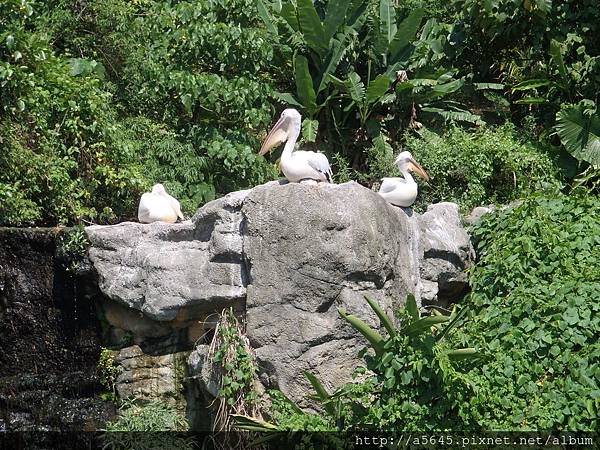 臺北市立木柵動物園