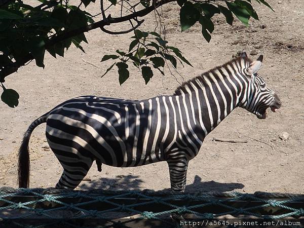 臺北市立木柵動物園