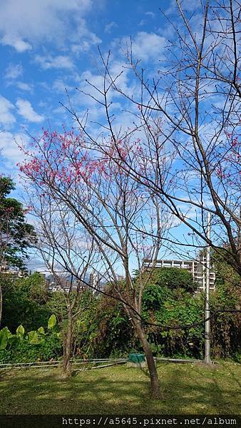 台北自來水博物館