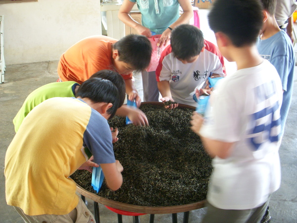 帝爾的男孩兒