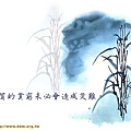 生活智慧(七十一).jpg