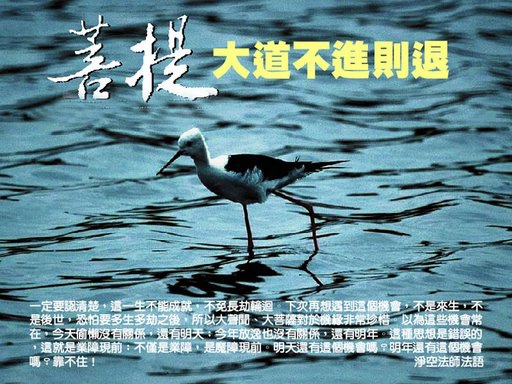 佛教桌布 027.jpg