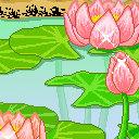蓮花44.jpg