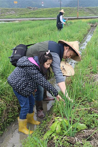 IMG_0074.JPG IMG_0074.JPG