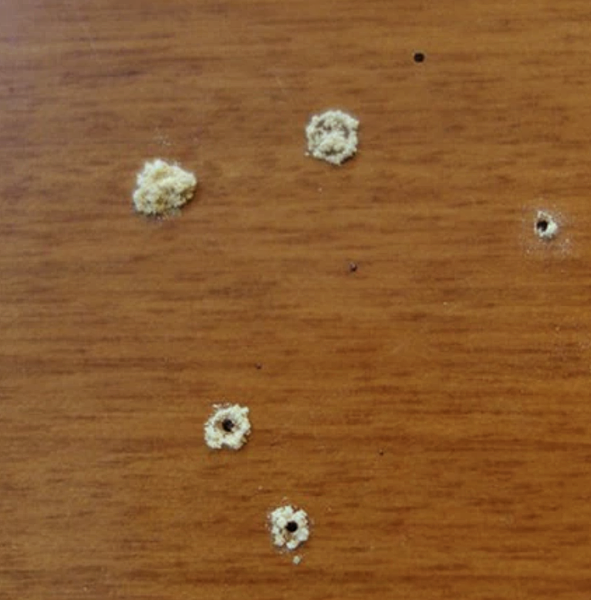 截圖 2022-05-11 下午10.11.26 截圖 2022-05-11 下午10.11.26