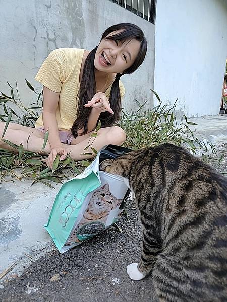 44.jpg 試用
