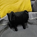 1023047_0.jpg