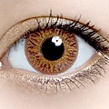 eyezoo_princessbrown_300.jpg