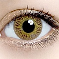 eyezoo_springhazel_300.jpg