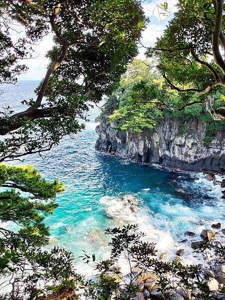 【日本】伊豆自由行一日遊，坐纜車上火山，大室火山口漫步，美麗