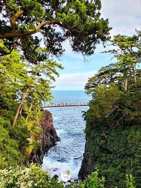 【日本】伊豆自由行一日遊，坐纜車上火山，大室火山口漫步，美麗