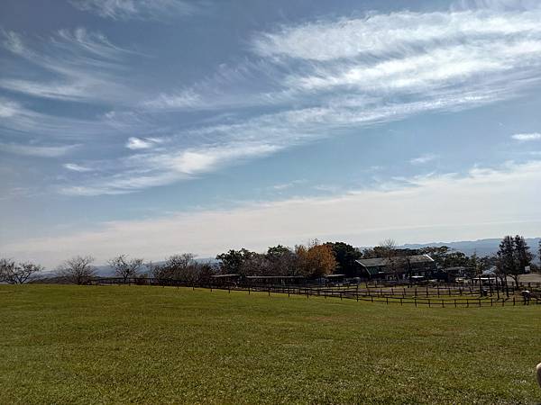 【日本】超好玩東京近郊千葉景點推薦「母親牧場(マザー牧場)」