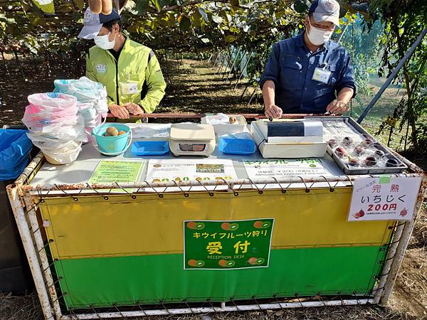 【日本】超好玩東京近郊千葉景點推薦「母親牧場(マザー牧場)」