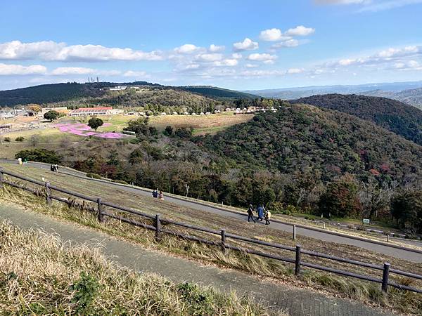 【日本】超好玩東京近郊千葉景點推薦「母親牧場(マザー牧場)」