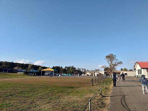 【日本】超好玩東京近郊千葉景點推薦「母親牧場(マザー牧場)」