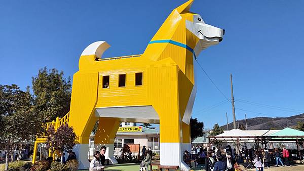【日本】茨城狗狗樂園~看狗狗賽跑＆摸狗＆遛狗體驗!療癒休閒一