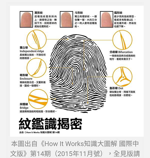 Csi 指紋鑑識 二 你知道指紋的特徵點嗎 阿雲桑的英呎 痞客邦