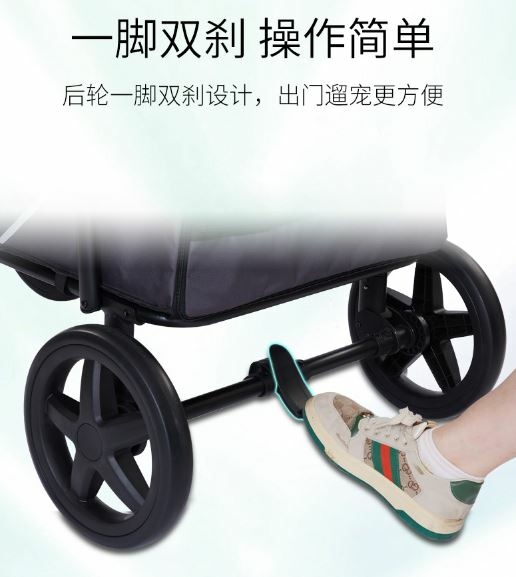 🔖全新六號車 火熱上架 開放租借🔖